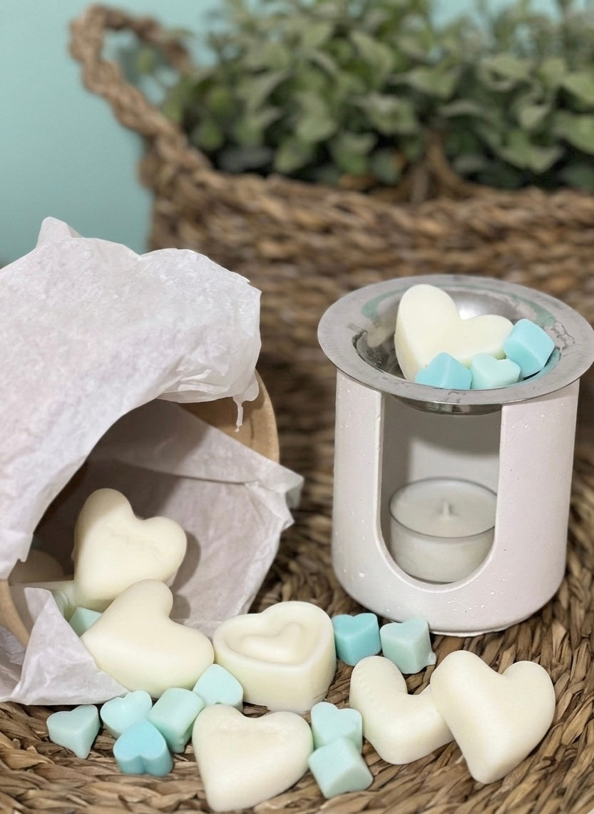 ✨ Wax Melts Resilencia ✨